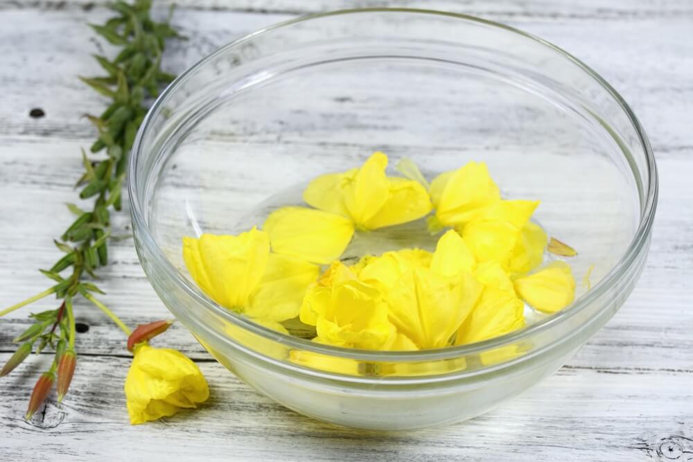 10 Flower Essences for the Holiday Season