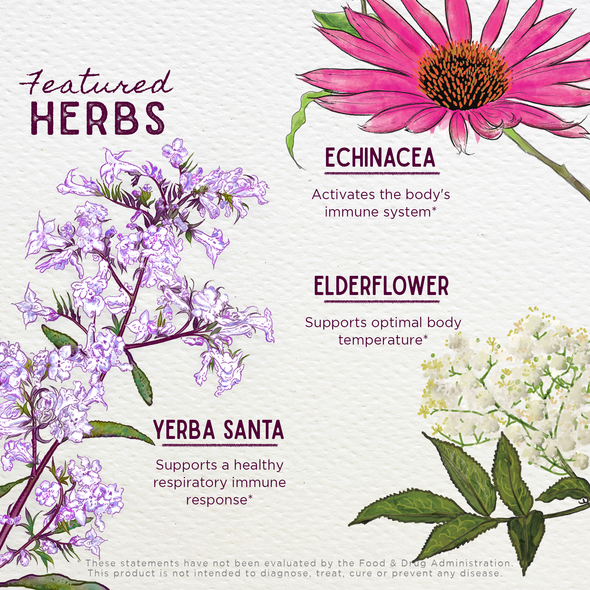 Featured Herbs in Congestion Rescue Immune Support for Pregnancy