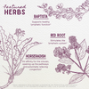 Featured Herbs in Kick-Ass Sinus Move & Soothe
