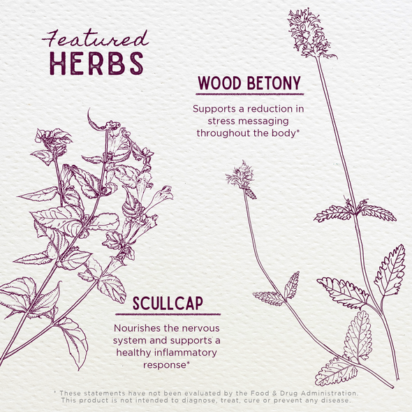 Featured Herbs in Serious Relaxer & Muscle Tension
