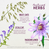 Featured Herbs in Quiet Time Calm & Center For Kids