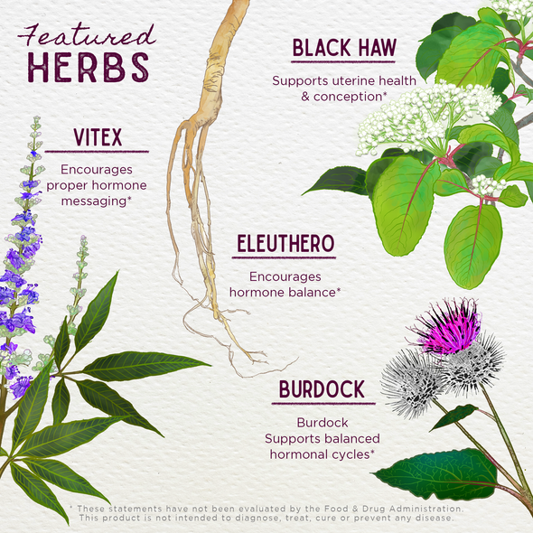 Featured Herbs in Cycle Vitality 2 Luteal Phase - Progesterone Support