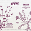 Featured Herbs in Urinary Strength Active Support