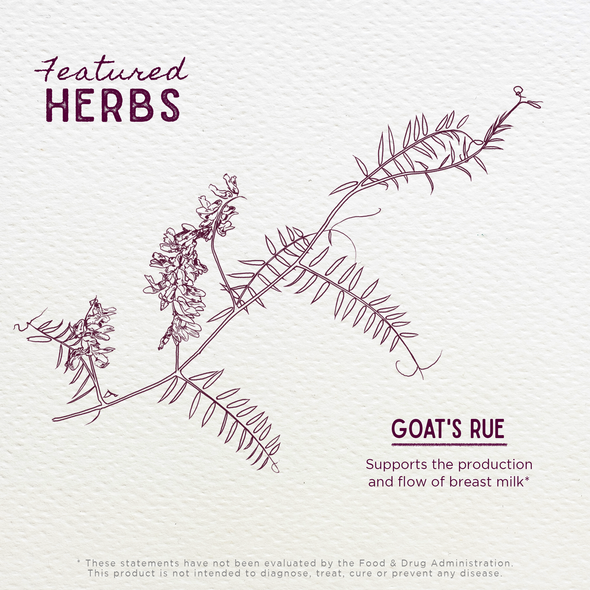 Featured Herbs in Goat's Rue Lactation Aid