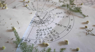 Fire Signs: Zodiac Signs and their Herbal Match