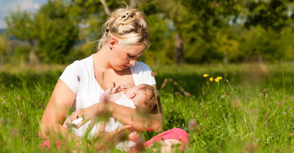 How to Naturally Increase Breast Milk Supply? With Herbs, of Course!