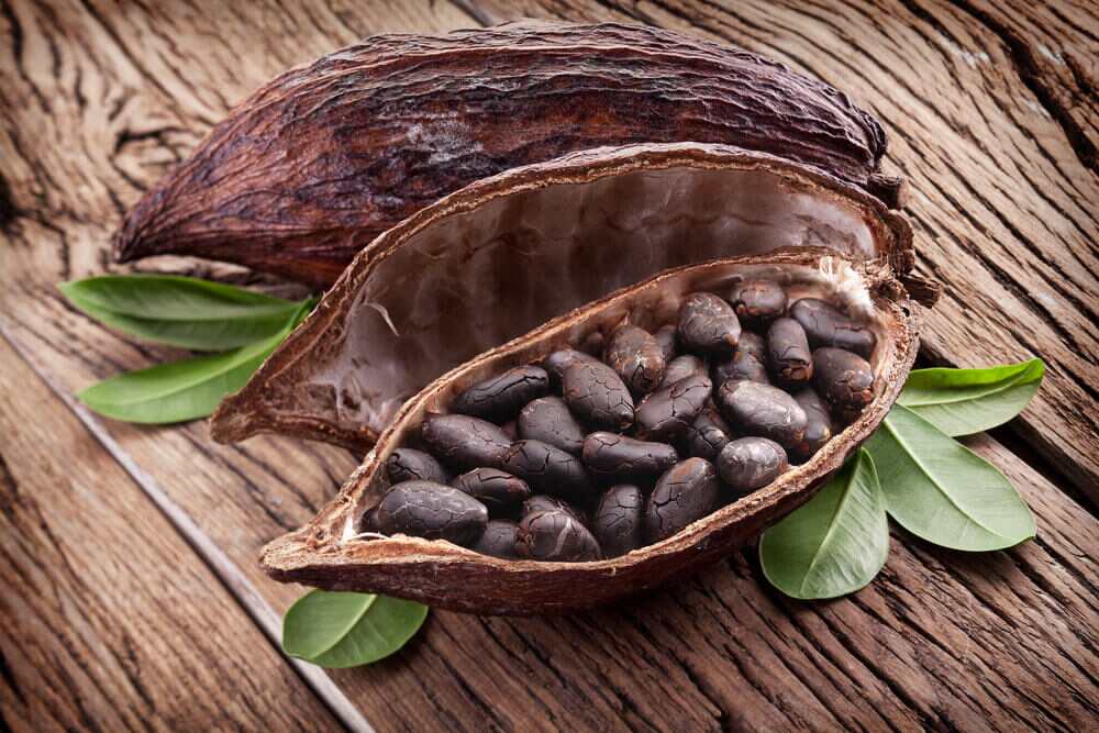 Cacao para la Salud: 2 Recetas