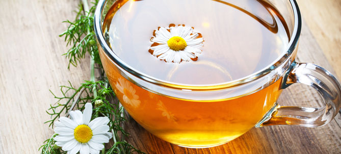 The Medicinal Uses and Health Benefits of Chamomile