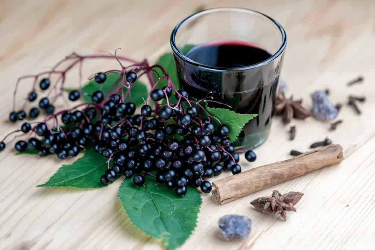 Elderberries for a Strong Immune System