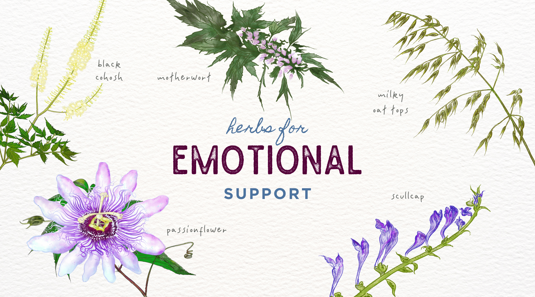 Embrace Emotional Wellness: 5 Herbs to Keep You Grounded