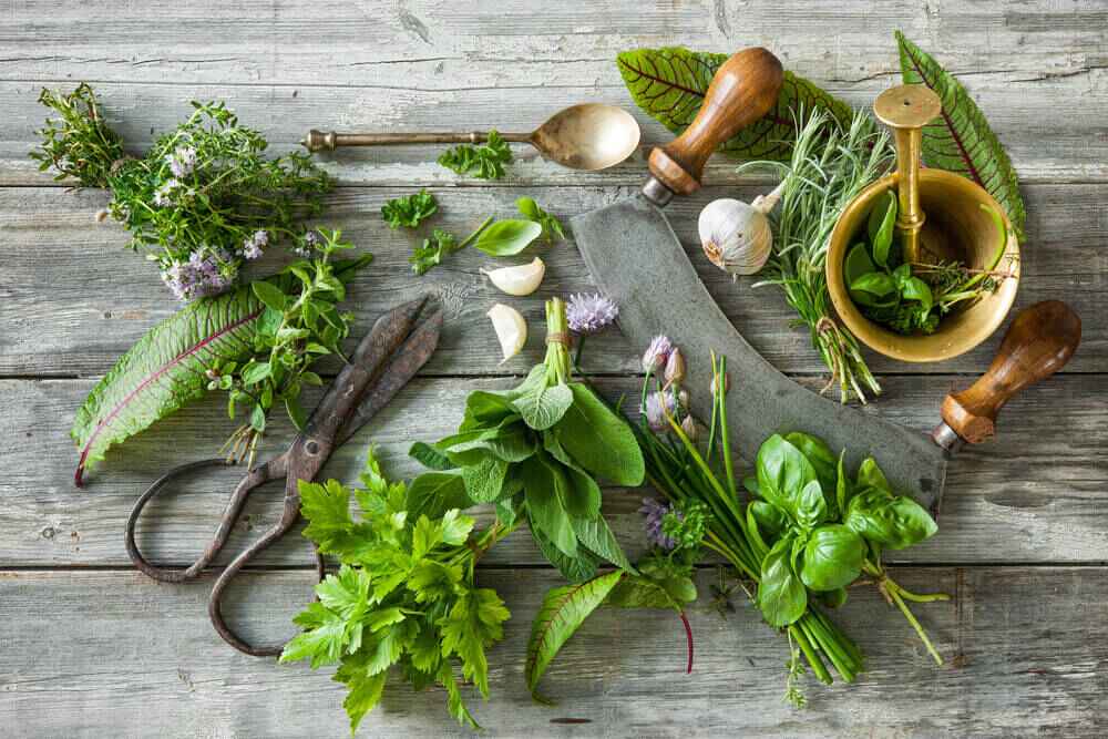 Five Immune-Supporting Herbs And Spices For Late Winter