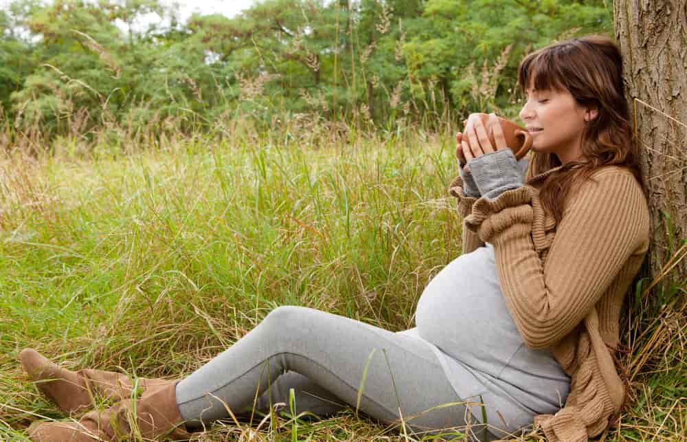 Mantenga la calma y continúe: el estrés y el embarazo
