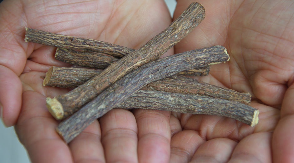 The Medicinal Uses and Health Benefits of Licorice