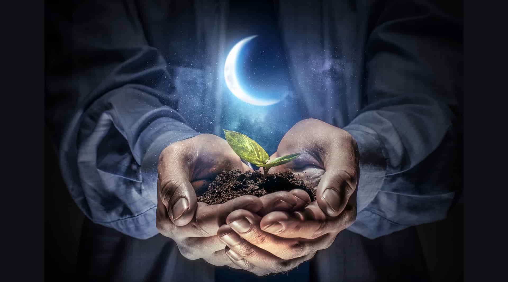 Jardinería mágica de la fase lunar