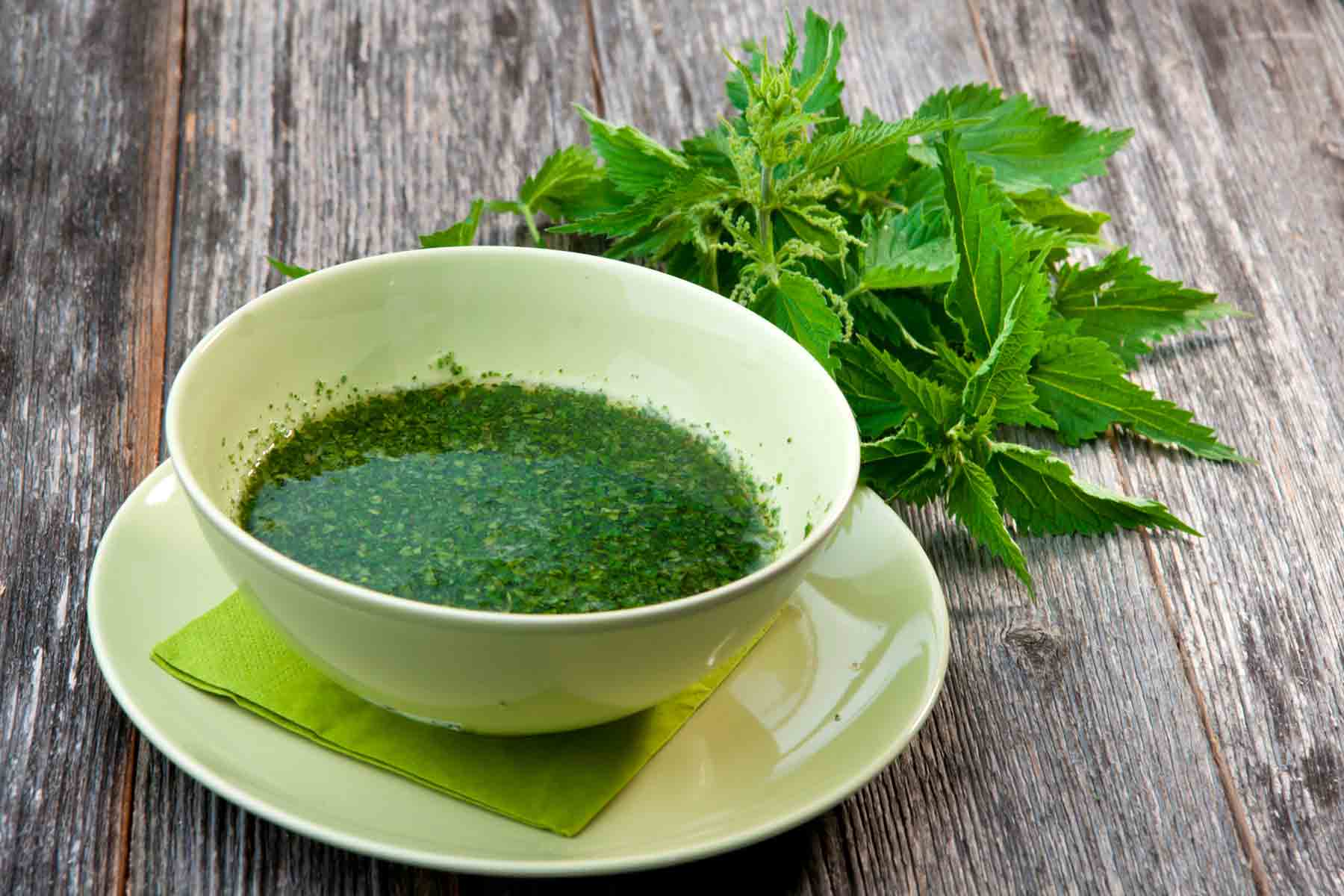 Celebrating May With A Green Spring Tonic: Rejuvenating Nettle Soup Recipe