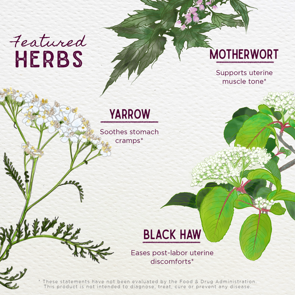 Featured Herbs in AfterEase For After Birth Contractions