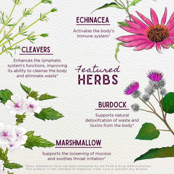 Featured Herbs in Immune Boost Seasonal Rescue for Pregnancy