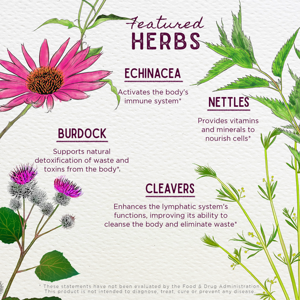 Featured Herbs in Daily Immune Builder