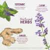 Featured Herbs in Digestive Rescue GI Normalizer for Kids