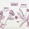 Featured Herbs in Party Prep: For a Better Morning After