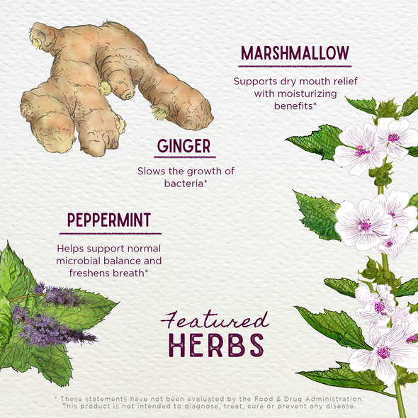 Featured Herbs in Magic Mint Breath Spray