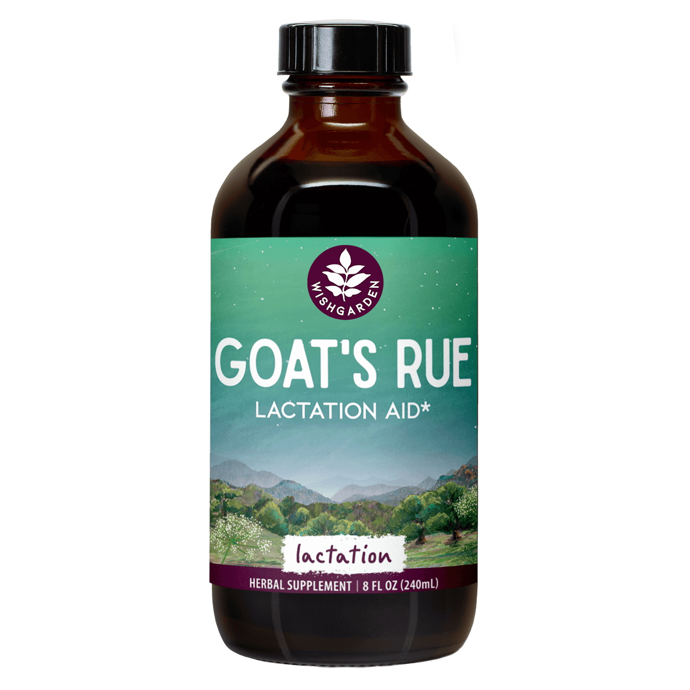Goats Rute Goat's Rue: Herbs to Boost Breast Milk Production – WishGarden Herbs