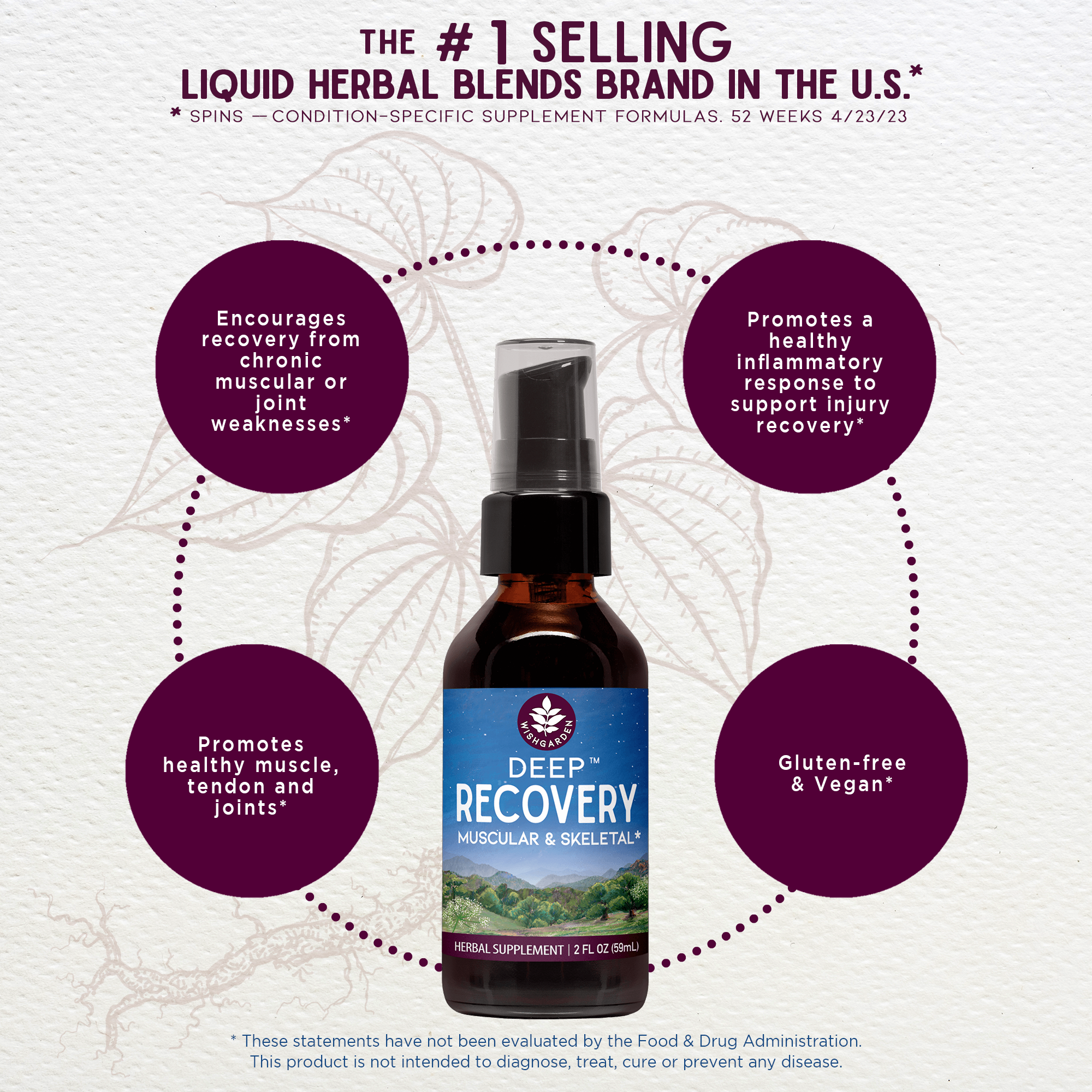 Deep Recovery: Herbs for Bone and Joint Health