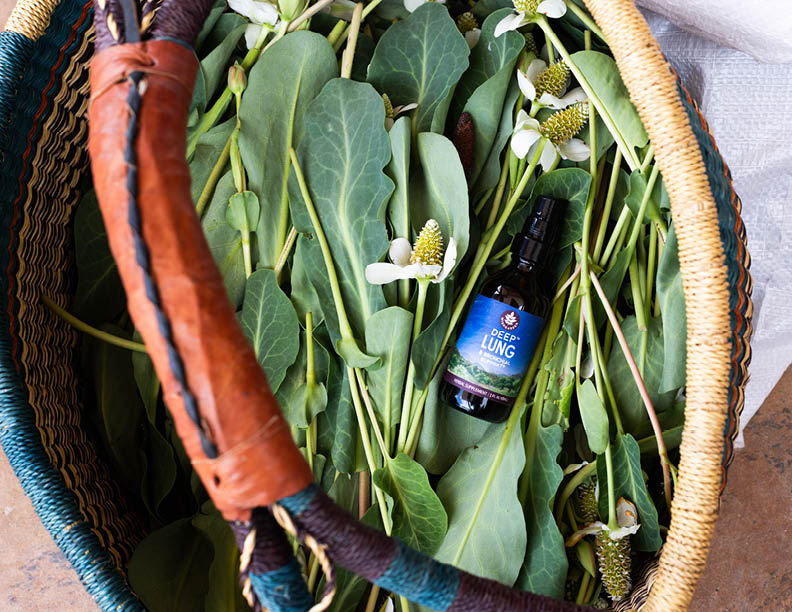 supporting our plants