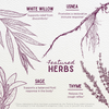 Featured Herbs in Kick-Ass Throat Spray