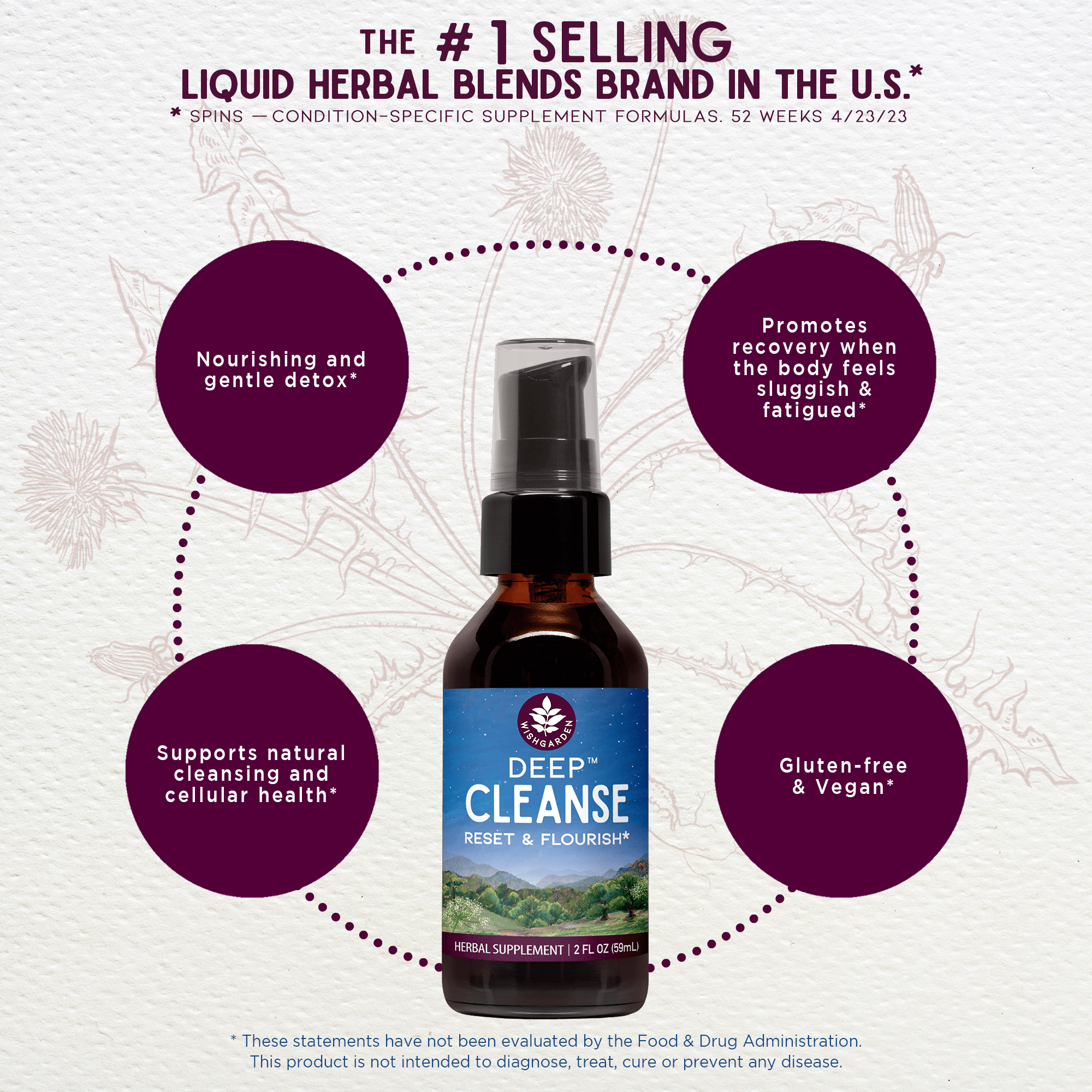 Deep Cleanse: Herbs to Support a Natural Liver and Kidney Cleanse