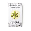 Blue Cohosh Enamel Pin - Front