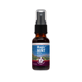 Magic Mint Breath Spray .66oz Spray Bottle